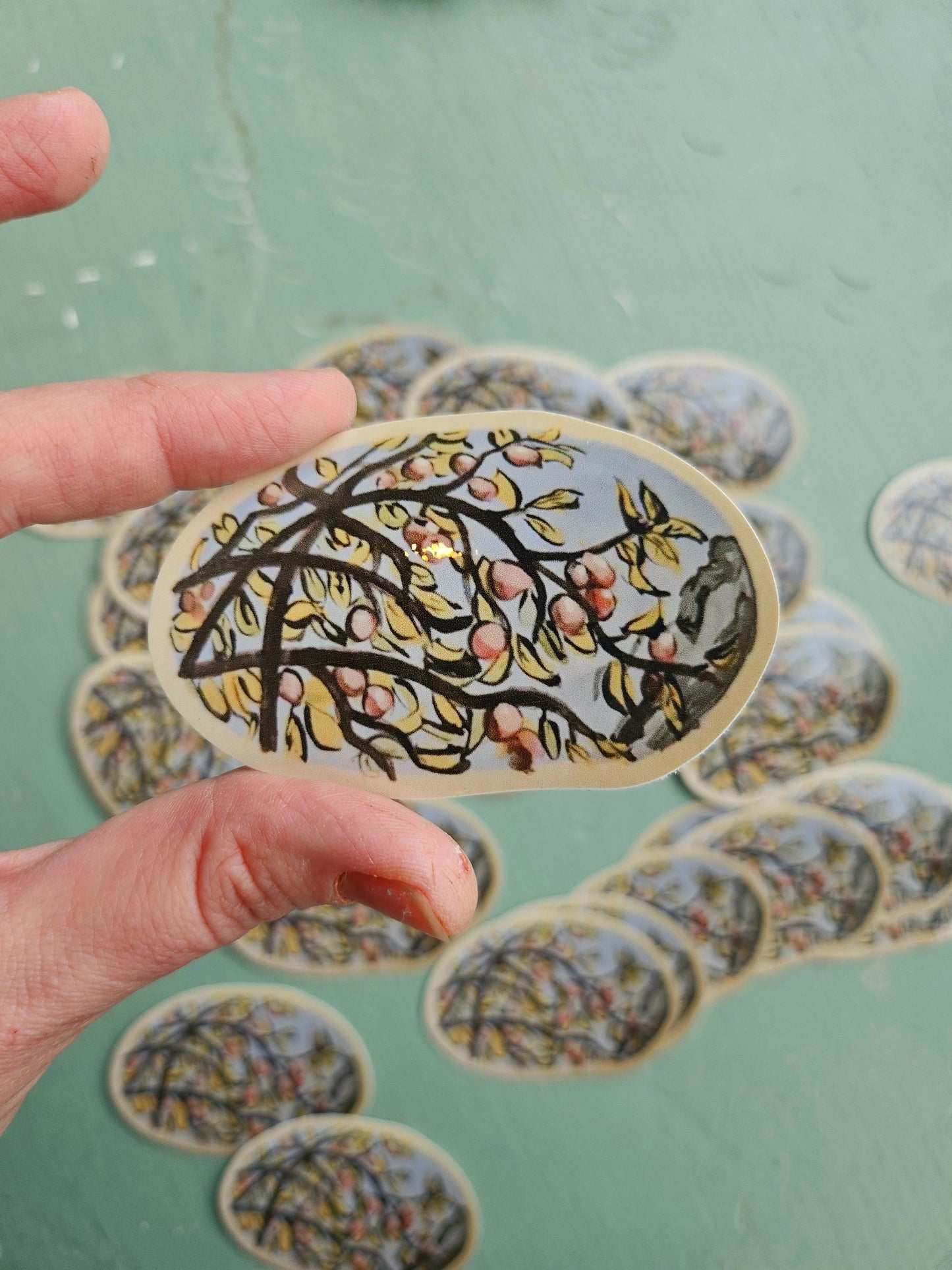 Fresh Fruit Sticker
